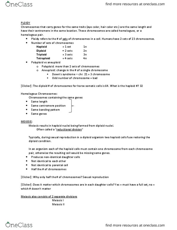 BIOL 1201 Lecture Notes - Lecture 17: Cleavage Furrow, Gamete, Sister Chromatids thumbnail