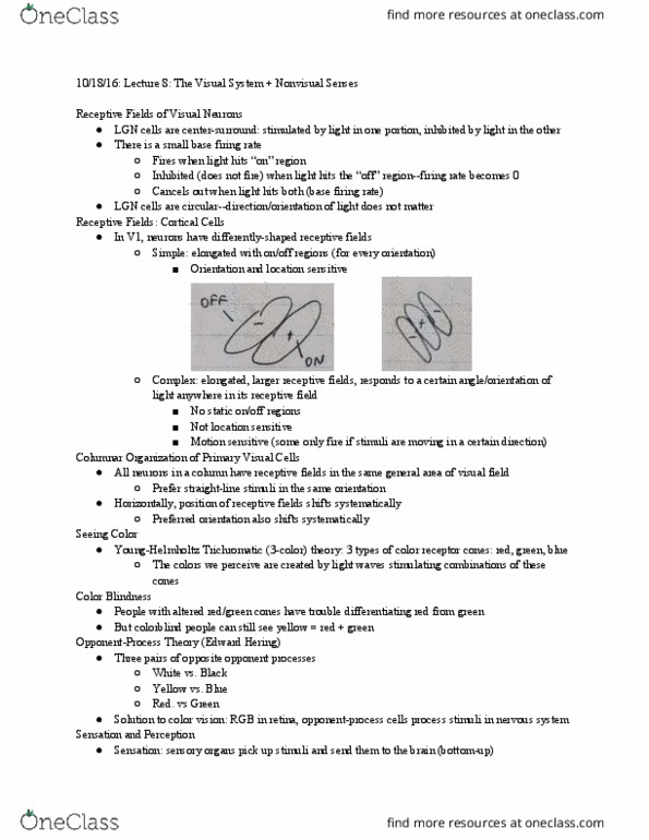 PSYCH 15 Lecture Notes - Lecture 8: Superior Colliculus, Oval Window, Fourier Analysis thumbnail