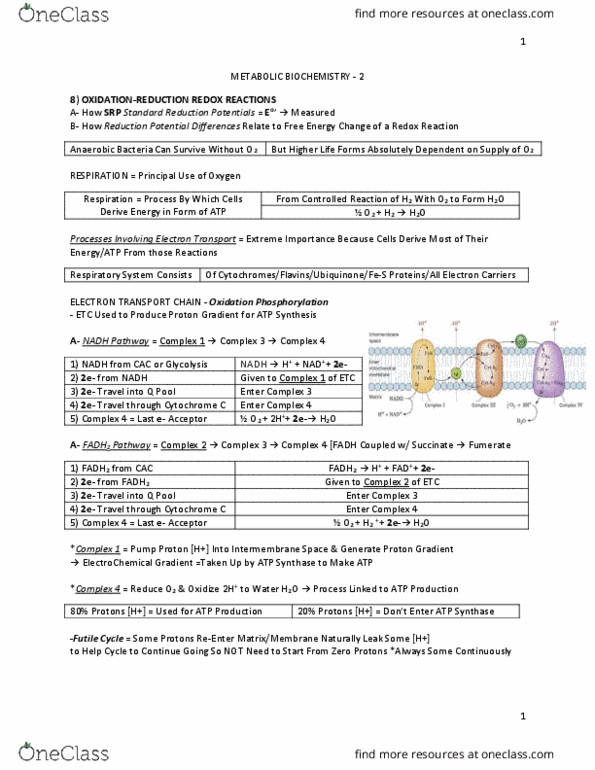 BIOC 311 Lecture Notes - Lecture 99: Oligosaccharide, Guanosine Triphosphate, Arachidonic Acid thumbnail