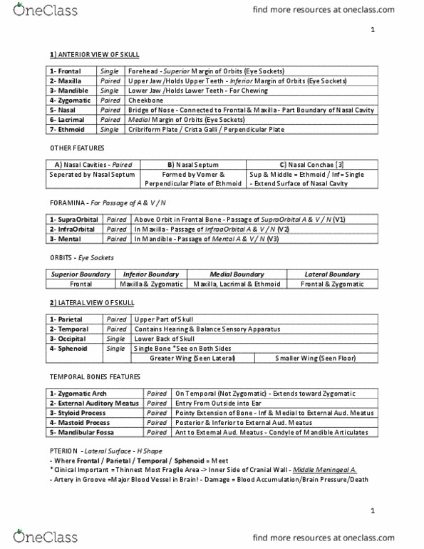 ANAT 316 Lecture Notes - Lecture 99: Gallbladder, Splanchnic, Piriformis Muscle thumbnail