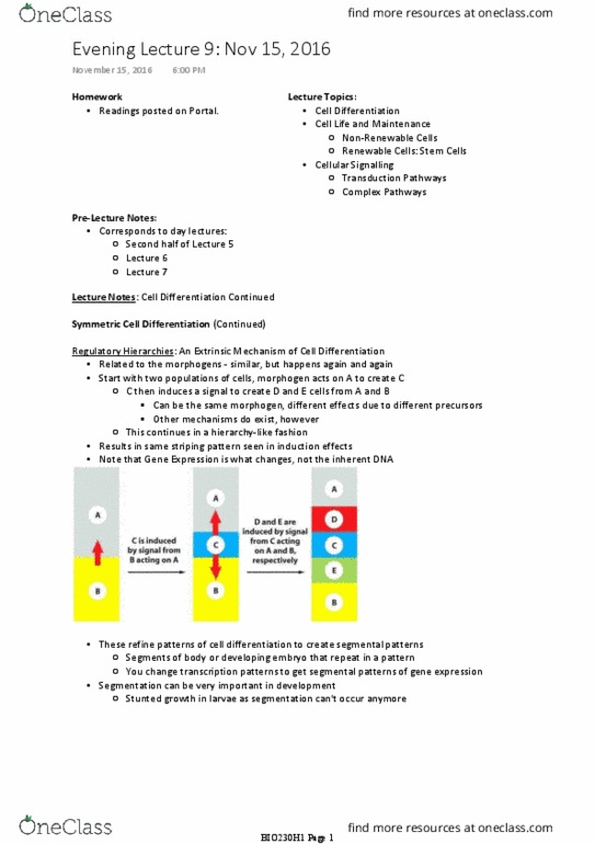 BIO230H1 Lecture Notes - Lecture 9: Hox Gene, Hematopoietic Stem Cell Transplantation, Cellular Signalling thumbnail