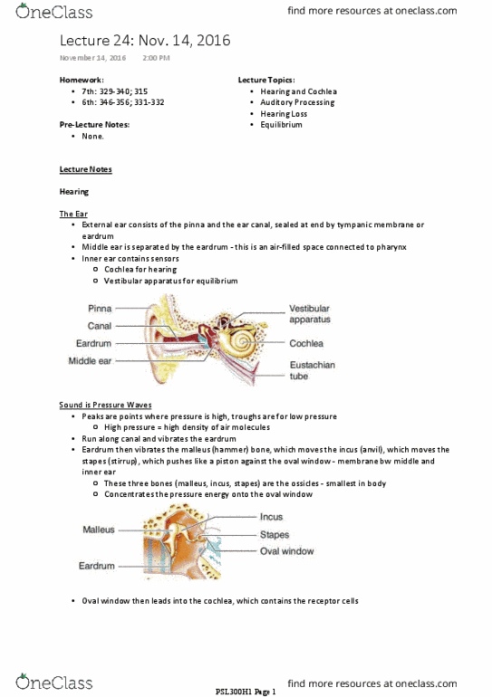 PSL300H1 Lecture Notes - Lecture 24: Cochlear Duct, Tympanic Duct, Vestibular Duct thumbnail