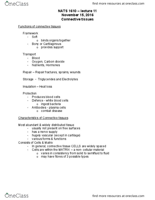 NATS 1610 Lecture Notes - Lecture 11: Loose Connective Tissue, Fibroblast, Collagen thumbnail