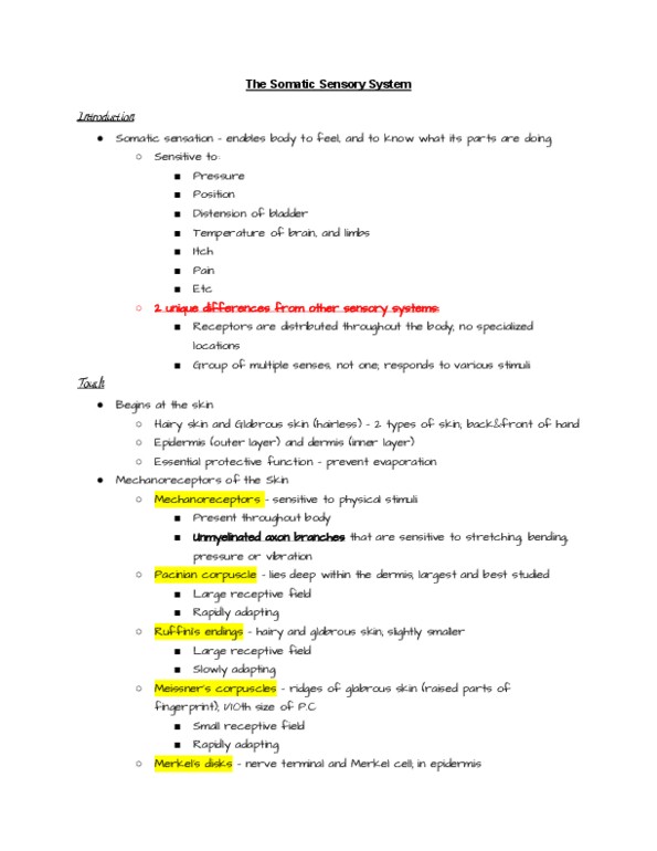 NRSC 277 Chapter Notes - Chapter 12: Glabrousness, Posterior Grey Column, Lamellar Corpuscle thumbnail