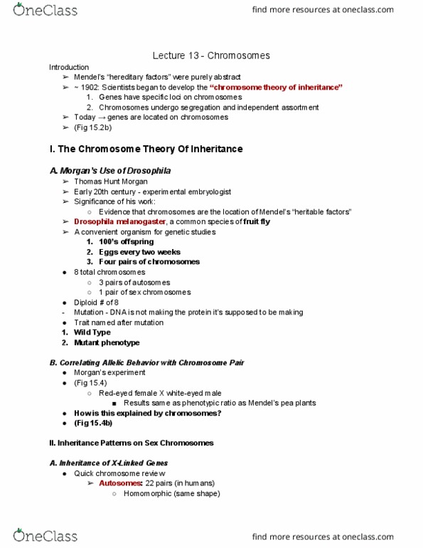 01:119:115 Lecture Notes - Lecture 13: Thomas Hunt Morgan, Homomorphism, Embryology thumbnail