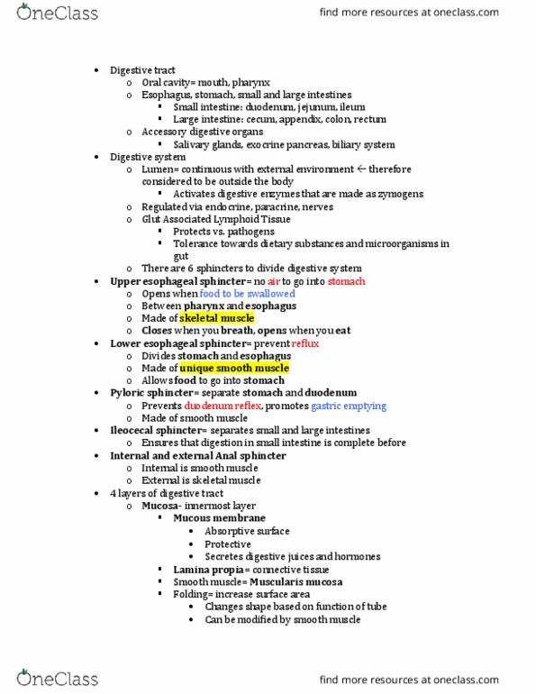 BIOL 3324 Lecture Notes - Lecture 21: Esophagus, Pylorus, Gastrointestinal Tract thumbnail