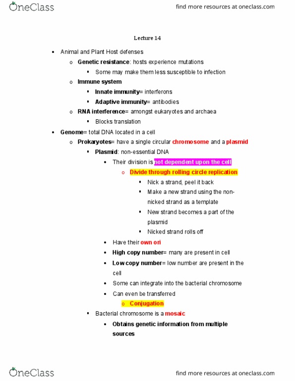 BIOL 3332 Lecture Notes - Lecture 14: Rolling Circle Replication, Low Copy Number, Innate Immune System thumbnail