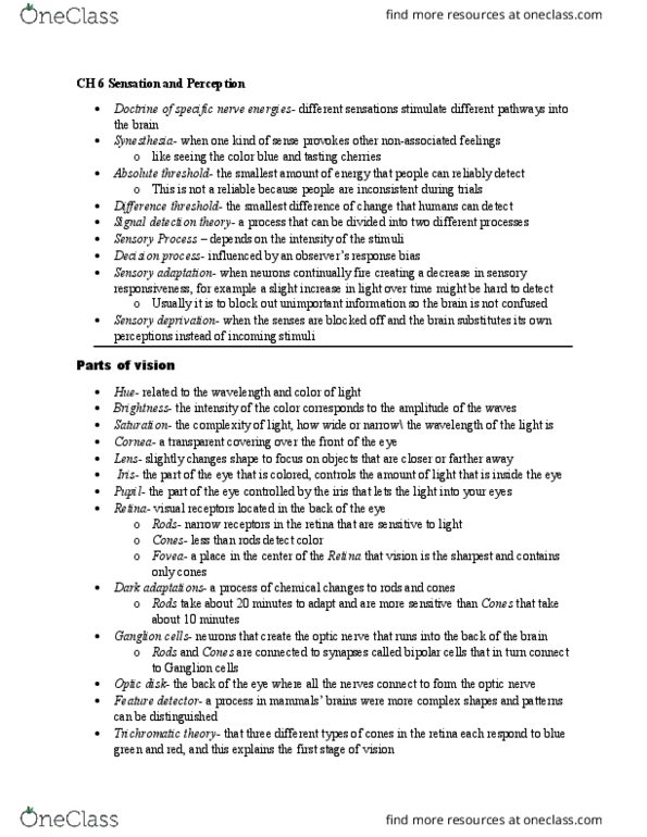 PSYC 1001 Chapter Notes - Chapter 6: Detection Theory, Ganglion Cell, Sensory Deprivation thumbnail