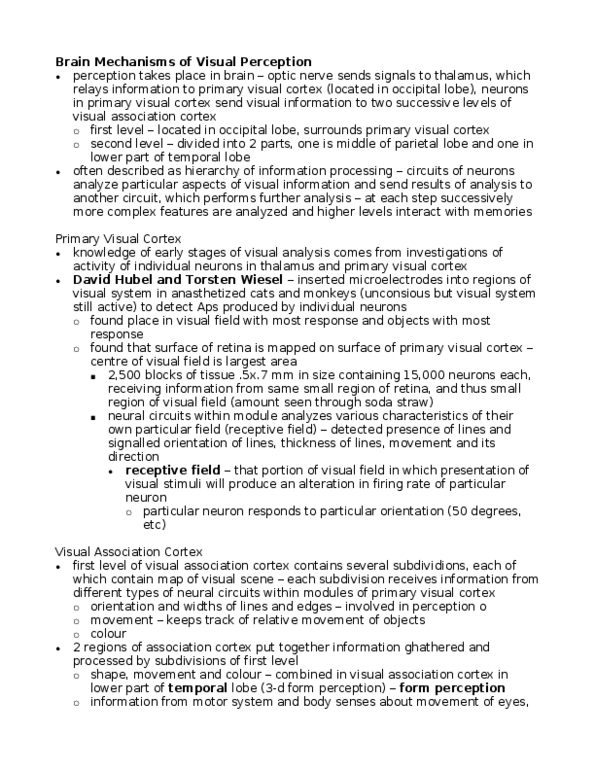 PSYC 3P61 Lecture Notes - Visual Cortex, Occipital Lobe, Parietal Lobe thumbnail