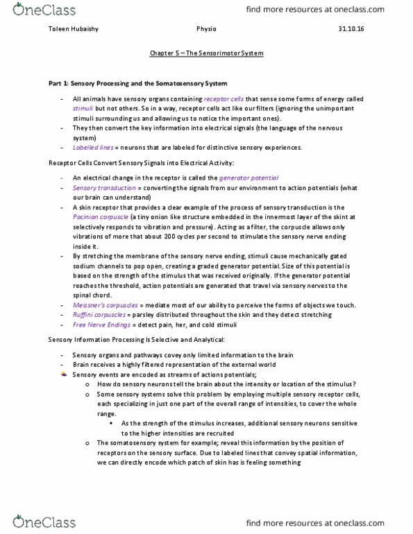 PSY290H5 Chapter Notes - Chapter 5: Bulbous Corpuscle, Lamellar Corpuscle, Sensory Neuron thumbnail