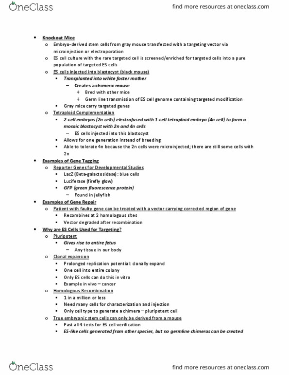 ANSC 3323 Lecture Notes - Lecture 22: Transmissible Spongiform Encephalopathy, Gene Knockout, Embryonic Stem Cell thumbnail