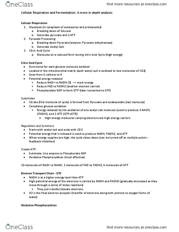 BIOL 1100 Lecture Notes - Lecture 15: Citric Acid Cycle, Acetyl-Coa, Oxidative Phosphorylation thumbnail