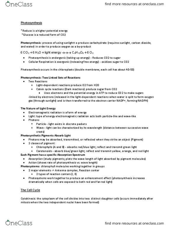 BIOL 1100 Lecture Notes - Lecture 16: Light-Independent Reactions, Chlorophyll, Photosynthesis thumbnail