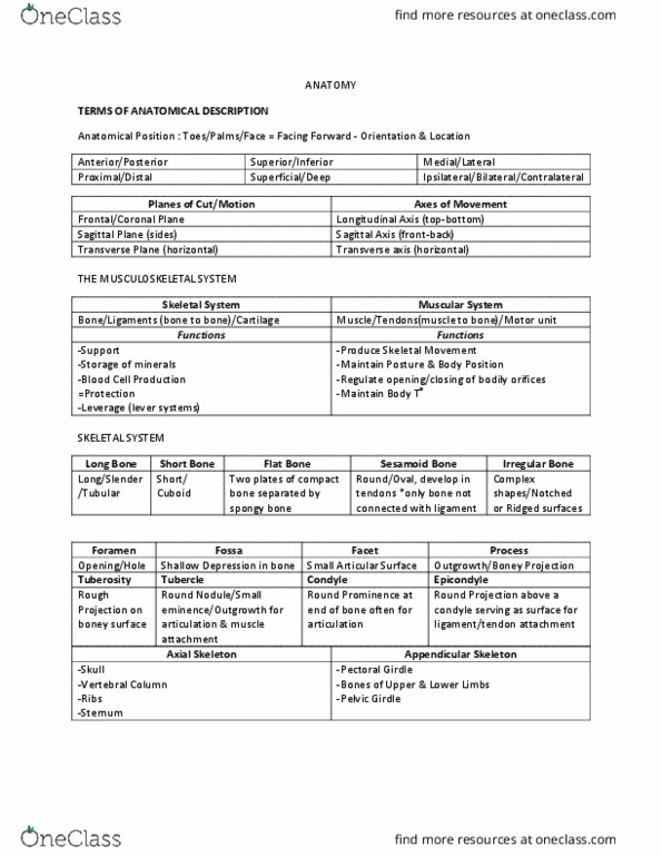 ANAT 315 Lecture Notes - Lecture 53: Sacrum, Thoracic Vertebrae, Peripheral Nervous System thumbnail