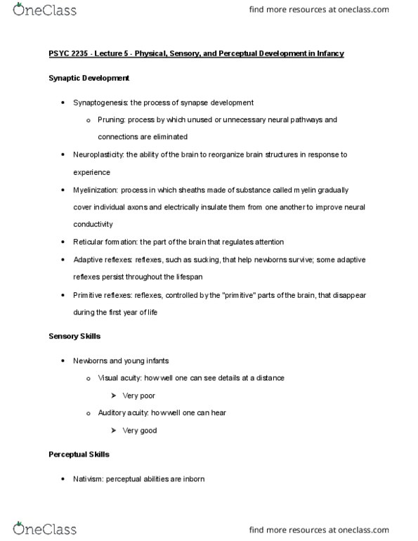 PSYC 2235 Lecture Notes - Lecture 5: Primitive Reflexes, Visual Acuity, Reticular Formation thumbnail