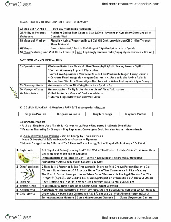 BIOL 112 Lecture Notes - Lecture 15: Red Algae, Phycobilin, Oomycete thumbnail