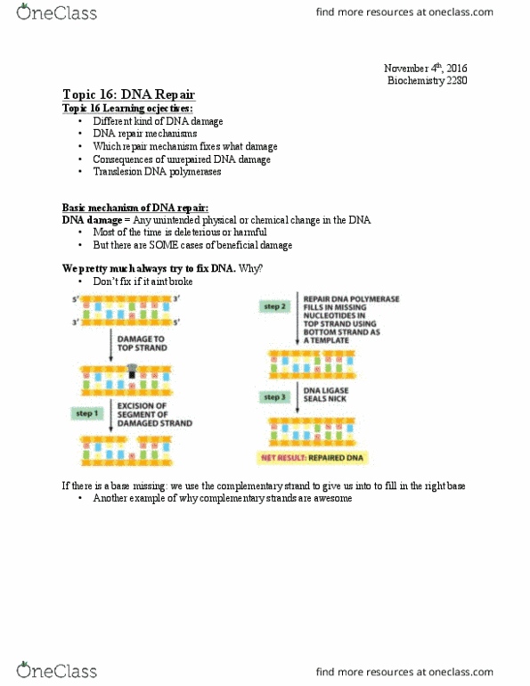 Biochemistry 2280A Lecture Notes - Lecture 18: Dna Mismatch Repair, Dna Replication, Pyrimidine Dimer thumbnail