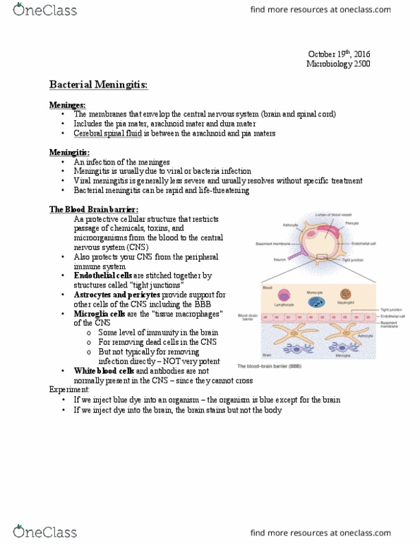 Microbiology and Immunology 2500A/B Lecture Notes - Lecture 12: Viral Meningitis, Central Nervous System, Arachnoid Mater thumbnail
