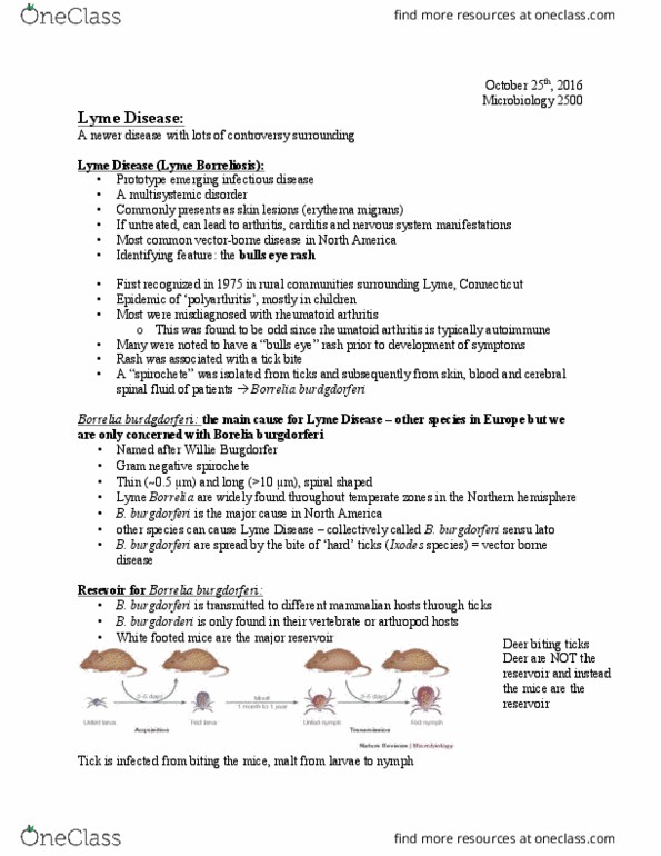 Microbiology and Immunology 2500A/B Lecture Notes - Lecture 14: Ixodes Scapularis, Tick-Borne Disease, Lyme, Connecticut thumbnail