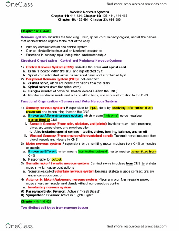 ANAT 100 Lecture Notes - Lecture 5: Central Nervous System, Arachnoid Mater, Dense Irregular Connective Tissue thumbnail