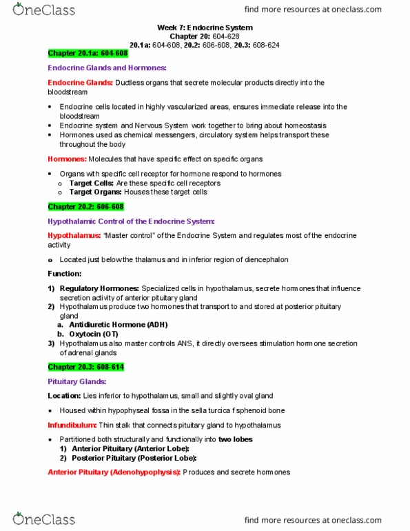 ANAT 100 Lecture Notes - Lecture 7: Posterior Pituitary, Anterior Pituitary, Adrenocorticotropic Hormone thumbnail