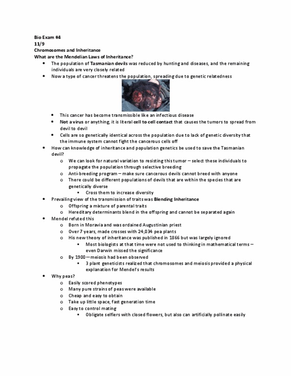 BIOS 10161 Lecture Notes - Lecture 27: Tasmanian Devil, Blending Inheritance, Population Genetics thumbnail