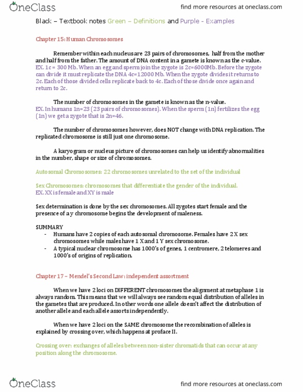 BIOL207 Chapter Notes - Chapter 15 & 17: Autosome, Karyotype, Dna Replication thumbnail