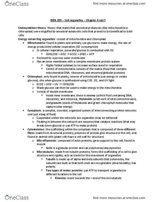 BIOL 205 Lecture Notes - Lecture 21: Globular Protein, Membrane Protein, Endosymbiont thumbnail