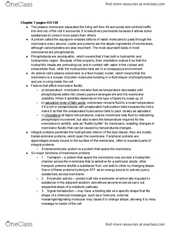 BIO SCI 93 Chapter Notes - Chapter 6-7: Unsaturated Hydrocarbon, Lipid Bilayer, Transmembrane Protein thumbnail