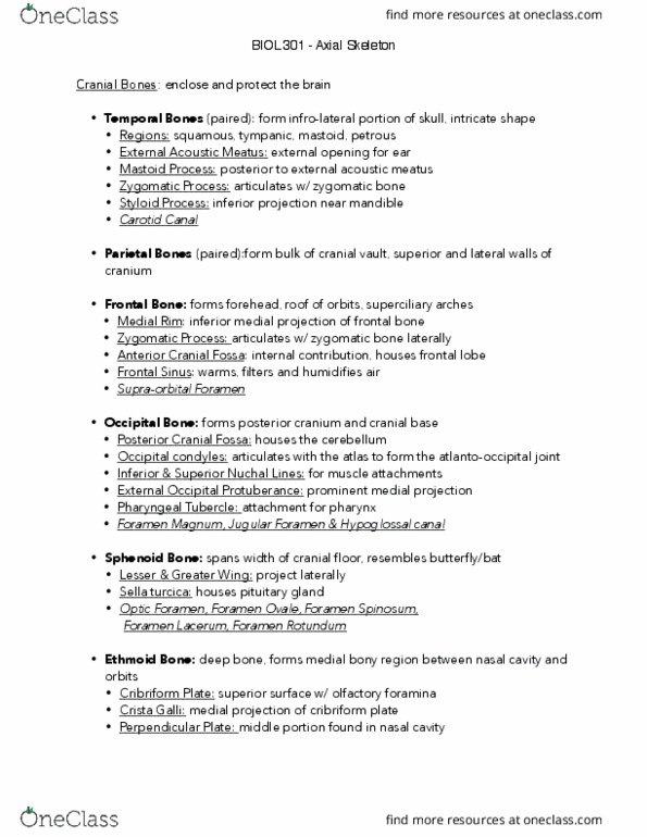 BIOL301 Lecture Notes - Lecture 3: Ear Canal, Coronal Suture, Zygomatic Bone thumbnail