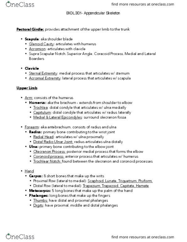 BIOL301 Lecture Notes - Lecture 2: Olecranon Fossa, Phalanx Bone, Olecranon thumbnail