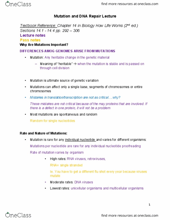 BIOL 1010U Lecture Notes - Lecture 18: Dna Mismatch Repair, Germline Mutation, Dna Repair thumbnail