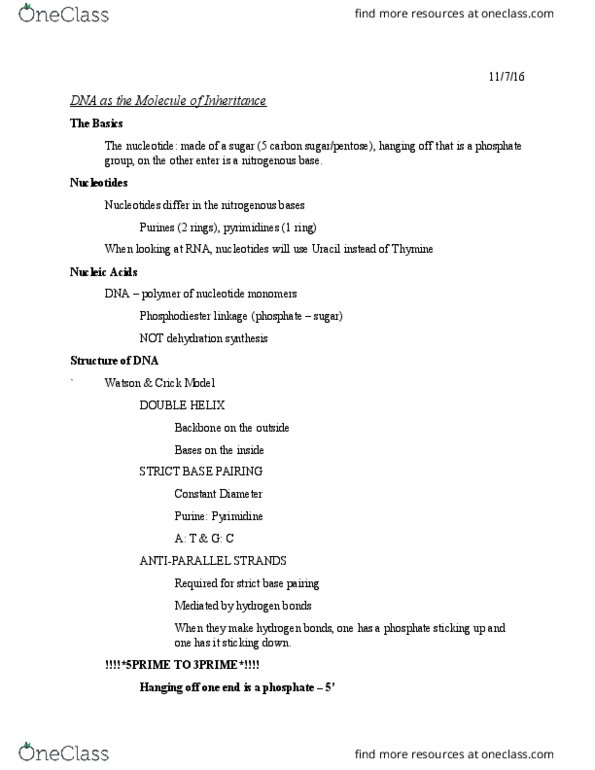 BSCI 105 Lecture Notes - Lecture 17: Dehydration Reaction, Nitrogenous Base, Pyrimidine thumbnail