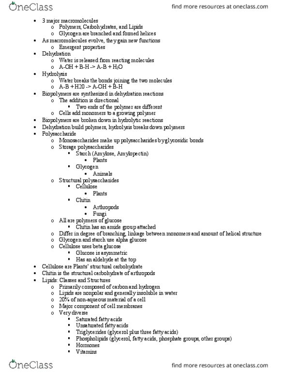 BSCI 105 Lecture Notes - Lecture 4: Chitin, Amylopectin, Amylose thumbnail
