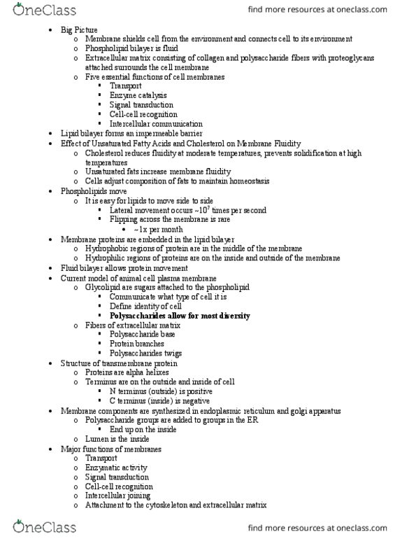 BSCI 105 Lecture Notes - Lecture 9: Lipid Bilayer, Extracellular Matrix, Golgi Apparatus thumbnail