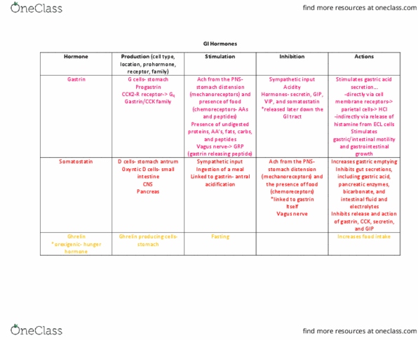 BIOS 4500 Lecture Notes - Lecture 25: Vagus Nerve, Enterochromaffin-Like Cell, Gastrin thumbnail