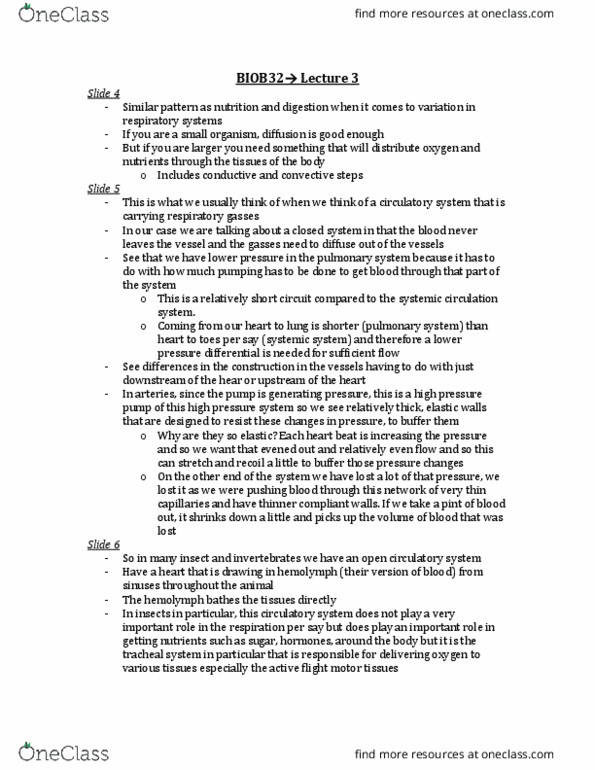 BIOB32H3 Lecture Notes - Lecture 3: Myoglobin, Hemolymph, Nfkb1 thumbnail