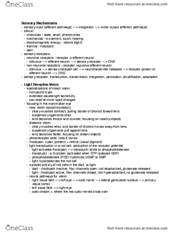 BSC-2010 Lecture Notes - Lecture 3: Afferent Nerve Fiber, Ciliary Muscle, Transducin thumbnail