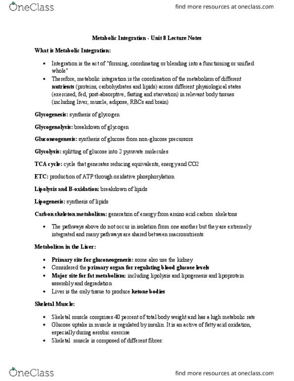 NUTR 3210 Lecture Notes - Lecture 8: Adrenal Medulla, Glycerol, Glycogen thumbnail