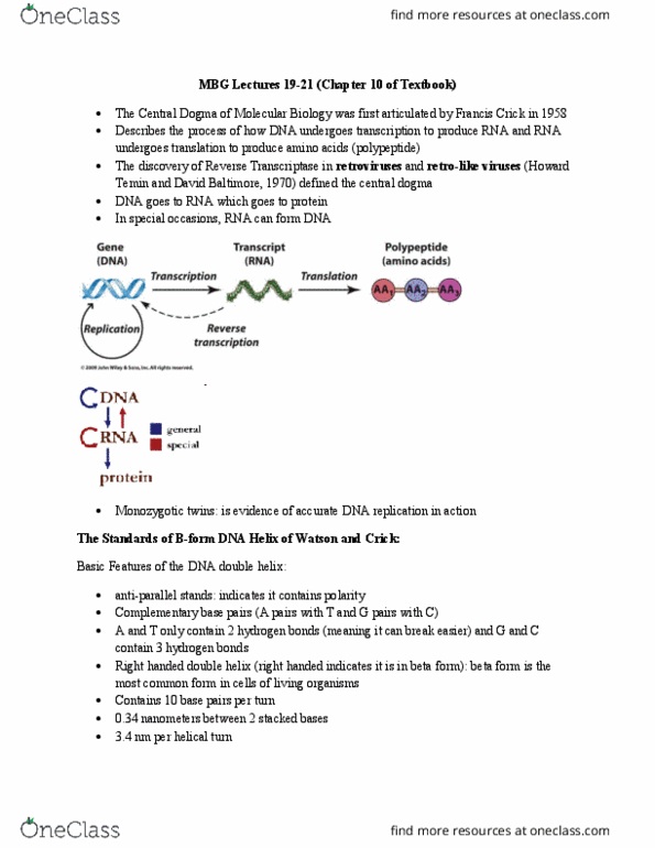 MBG 2040 Lecture Notes - Lecture 10: Endonuclease, Tandem Repeat, High Fidelity thumbnail
