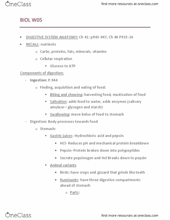 BIOL 1050 Lecture Notes - Lecture 5: Cellular Respiration, Omasum, Ketone Bodies thumbnail