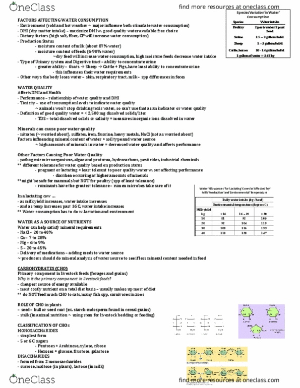 ANSC 3120 Lecture Notes - Lecture 2: Organic Compound, Polysaccharide, Silage thumbnail