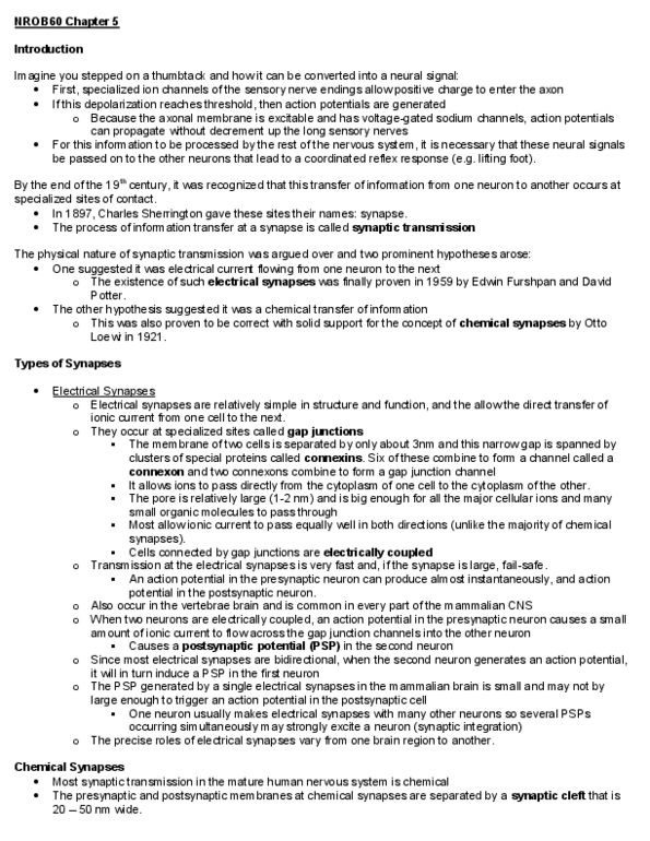 PSY280H5 Lecture Notes - Excitatory Postsynaptic Potential, Neuromuscular Junction, Resting Potential thumbnail