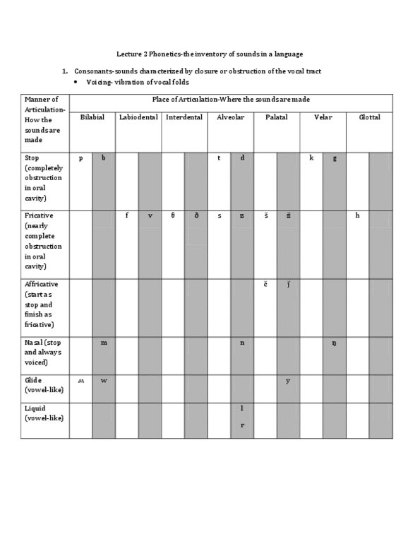 LIN200H1 Lecture Notes - Lecture 2: Vocal Folds, Vocal Tract, Fricative Consonant thumbnail