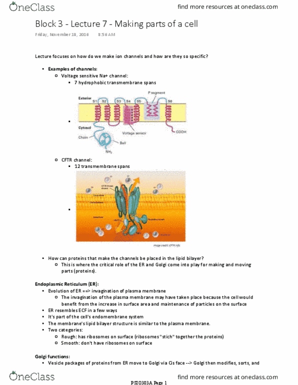 PSIO 303A Lecture Notes - Lecture 37: Phospholipid, Molecular Switch, Phosphatidylserine thumbnail