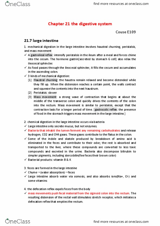 BIO SCI E109 Chapter 21: E109 21.7 function of large intestine thumbnail