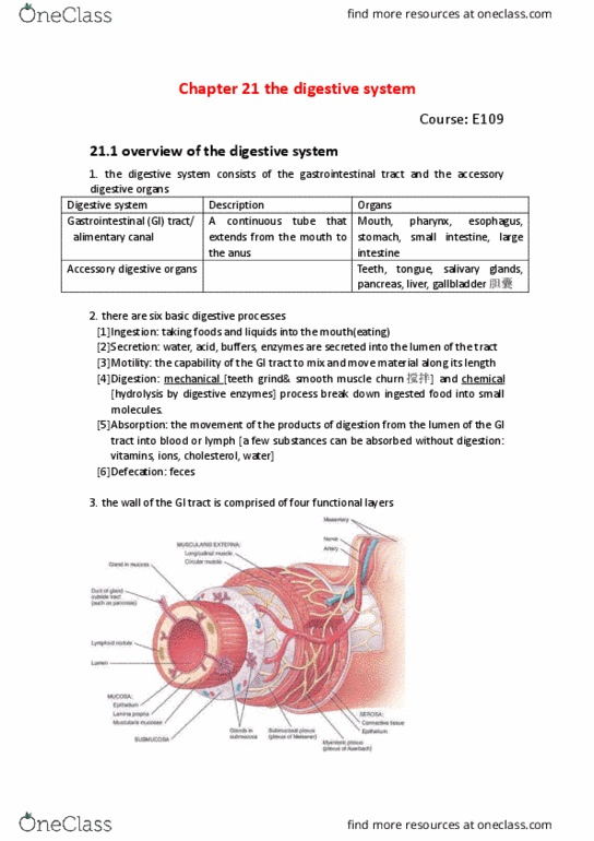 BIO SCI E109 Chapter 21: E109 21.1 overview of the digestive system thumbnail