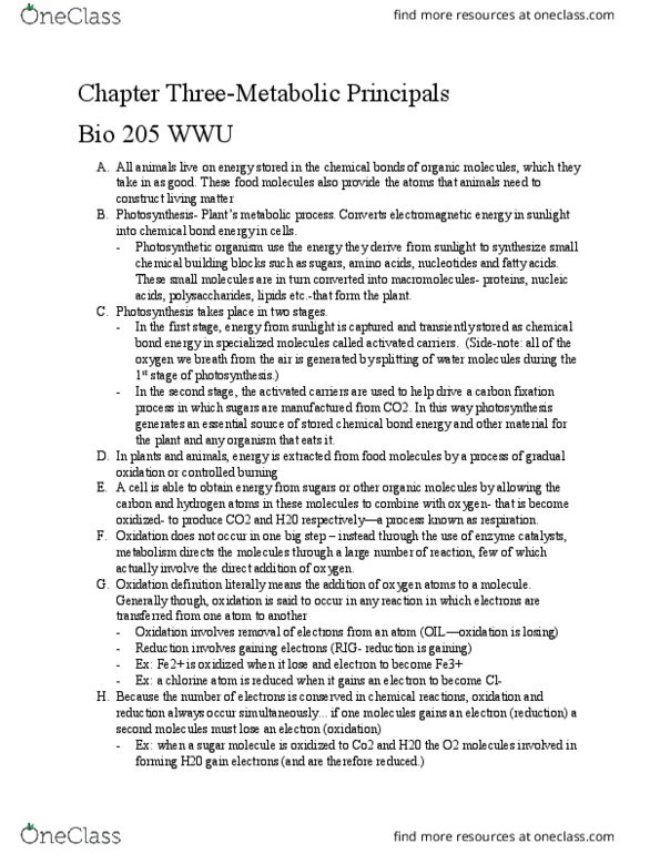 BIOL 205 Chapter 3: Bio 205 Chapter 3- Metabolic Processes thumbnail