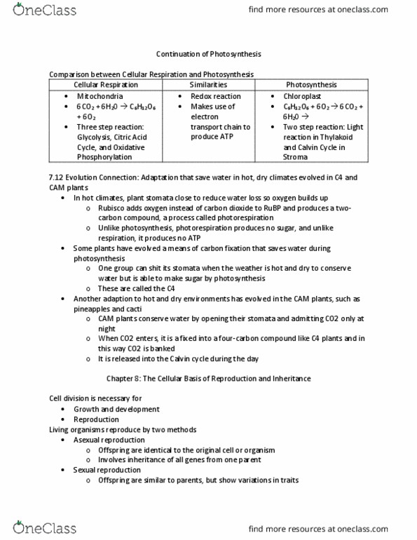 BIOL 103 Lecture Notes - Lecture 20: Cactus, Sexual Reproduction, Cell Division thumbnail