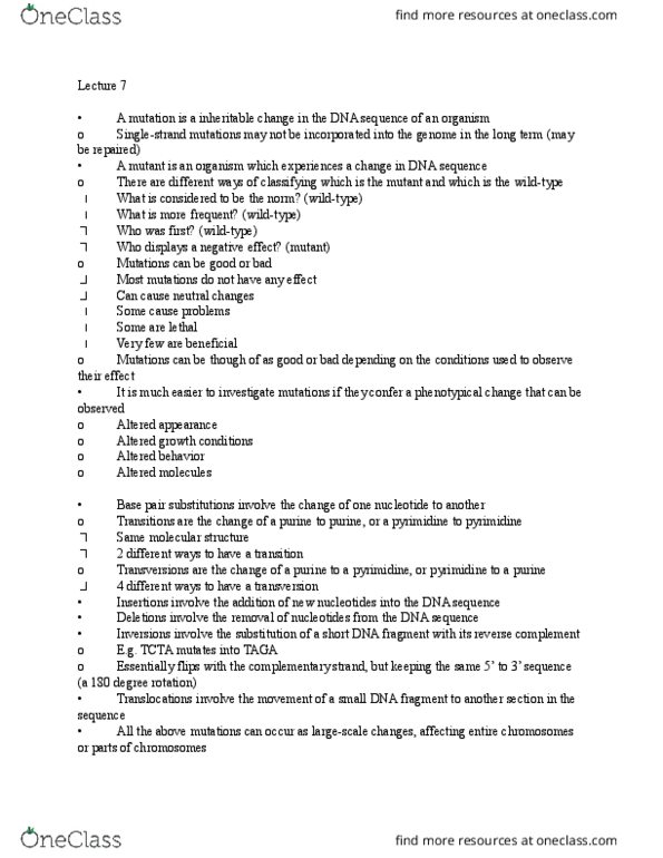 Biology 2581B Lecture Notes - Lecture 7: Dna Mismatch Repair, Pyrimidine Dimer, Ap Endonuclease thumbnail